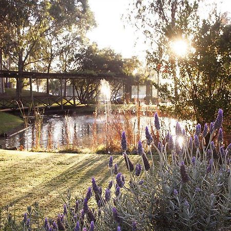 Hunter Valley Resort, Hunter Farm Adventure Centre & 4 Pines At The Farm Pokolbin Ngoại thất bức ảnh