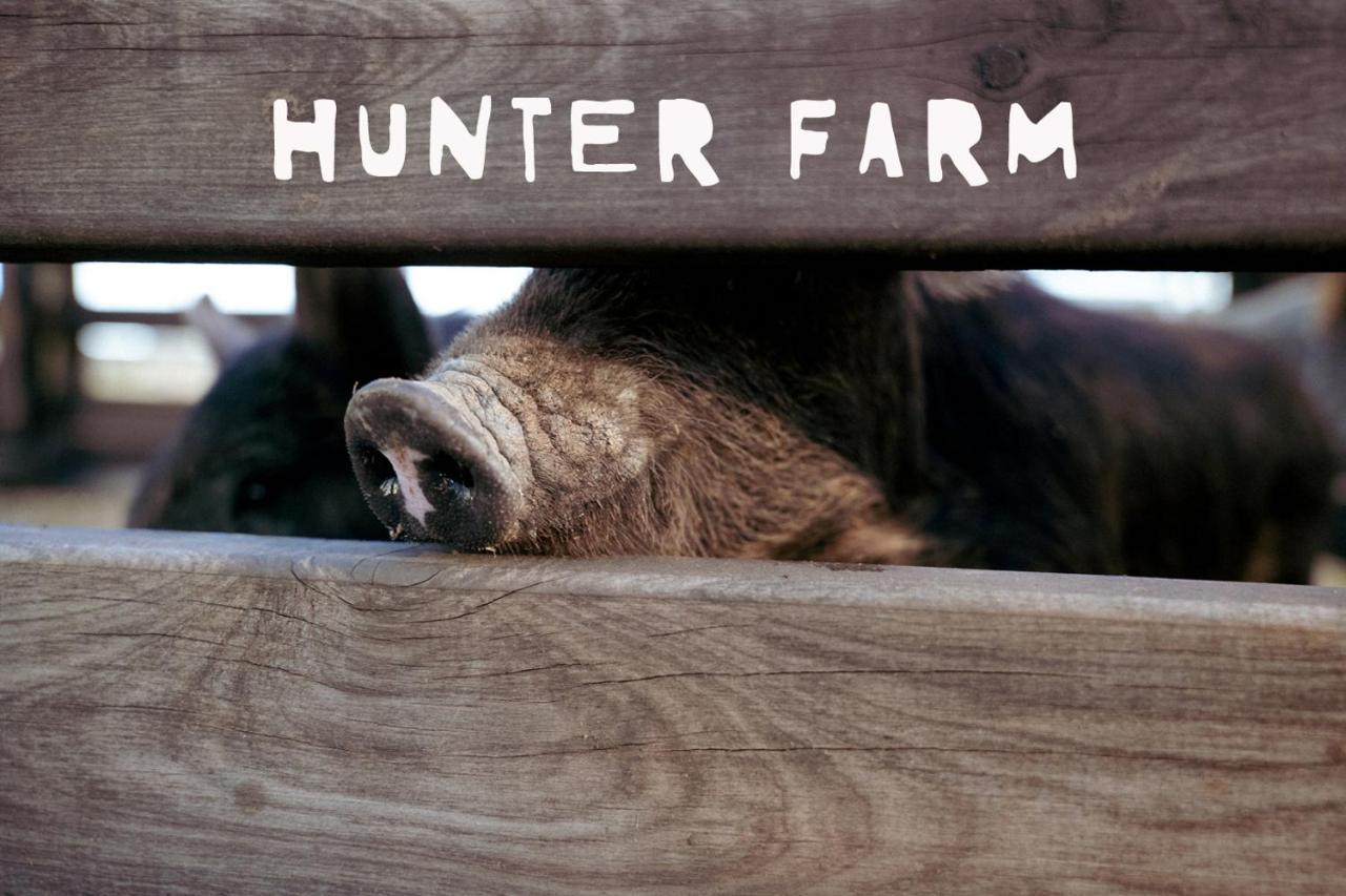 Hunter Valley Resort, Hunter Farm Adventure Centre & 4 Pines At The Farm Pokolbin Ngoại thất bức ảnh