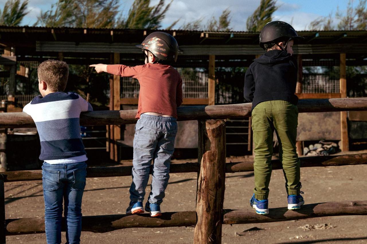 Hunter Valley Resort, Hunter Farm Adventure Centre & 4 Pines At The Farm Pokolbin Ngoại thất bức ảnh