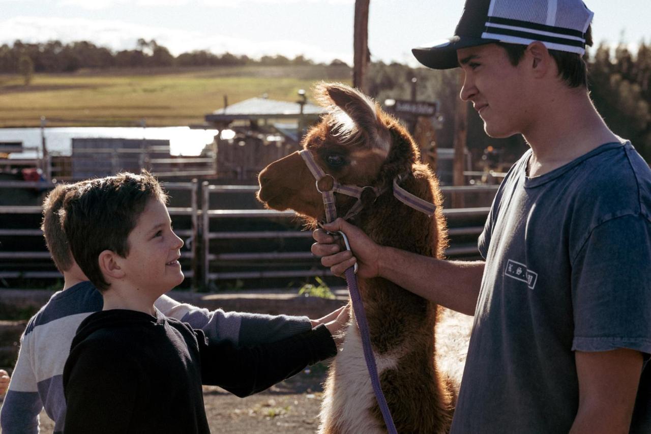 Hunter Valley Resort, Hunter Farm Adventure Centre & 4 Pines At The Farm Pokolbin Ngoại thất bức ảnh