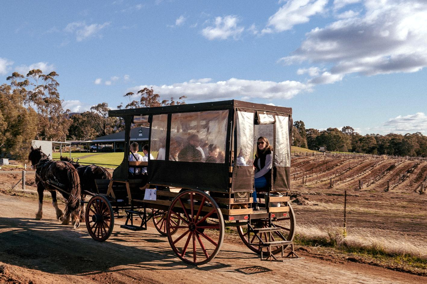 Hunter Valley Resort, Hunter Farm Adventure Centre & 4 Pines At The Farm Pokolbin Ngoại thất bức ảnh