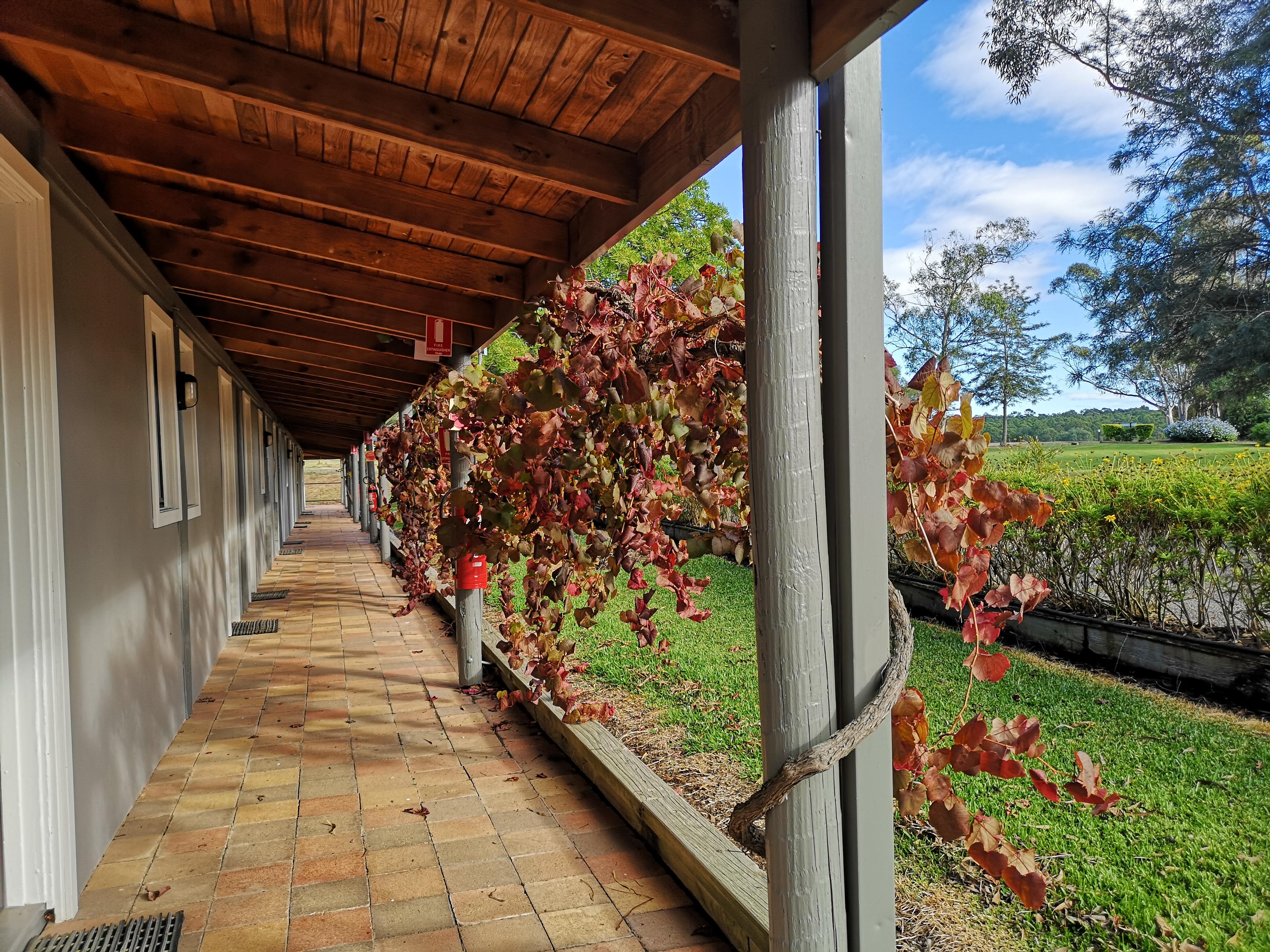 Hunter Valley Resort, Hunter Farm Adventure Centre & 4 Pines At The Farm Pokolbin Ngoại thất bức ảnh