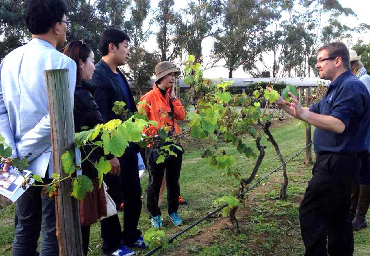 Hunter Valley Resort, Hunter Farm Adventure Centre & 4 Pines At The Farm Pokolbin Ngoại thất bức ảnh
